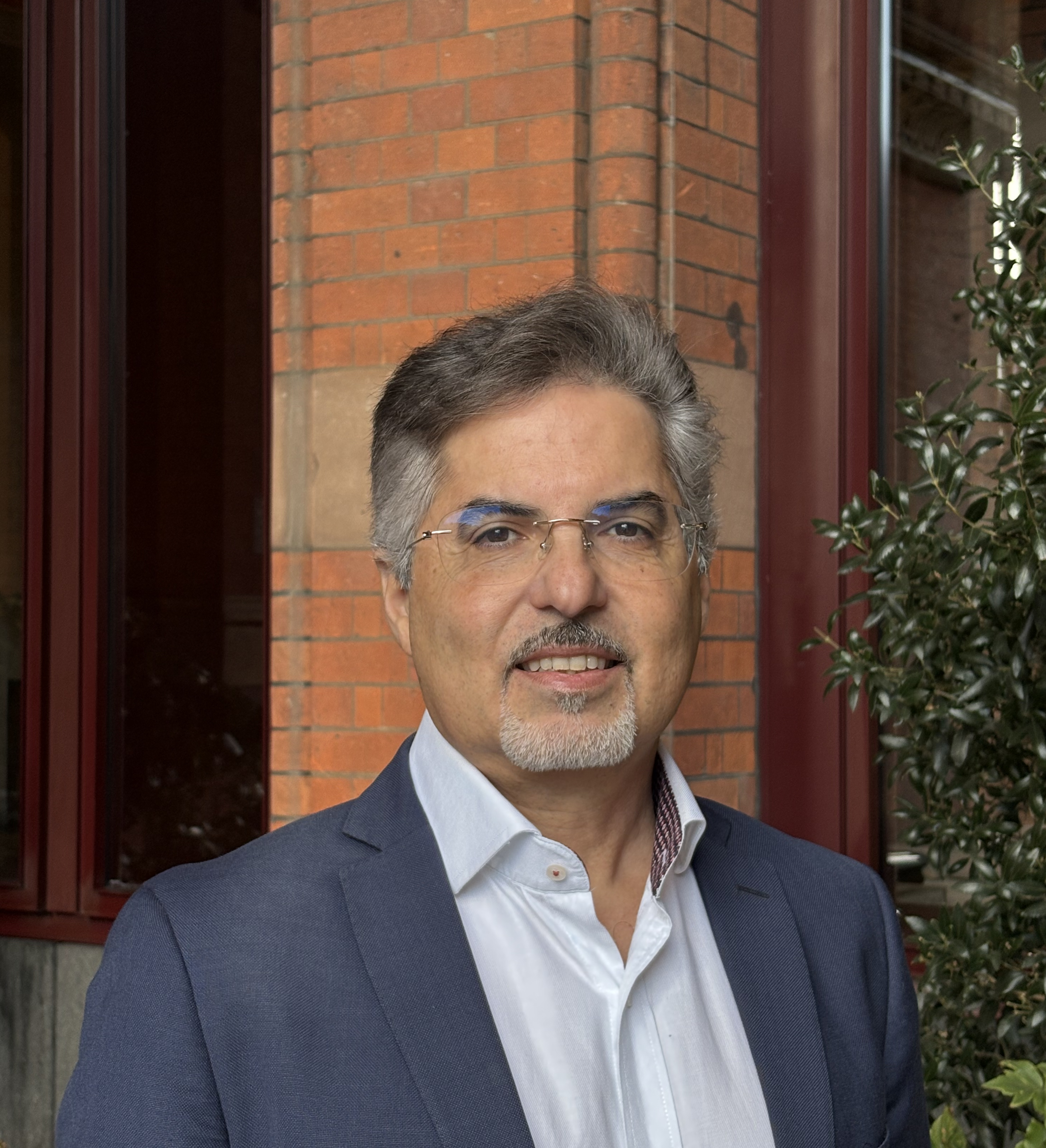 Prof. Luigi Occhipinti